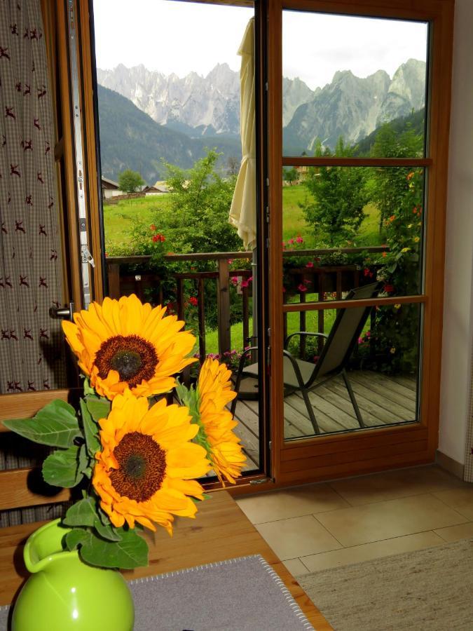 Appartements Gosaukamm.Com المظهر الخارجي الصورة