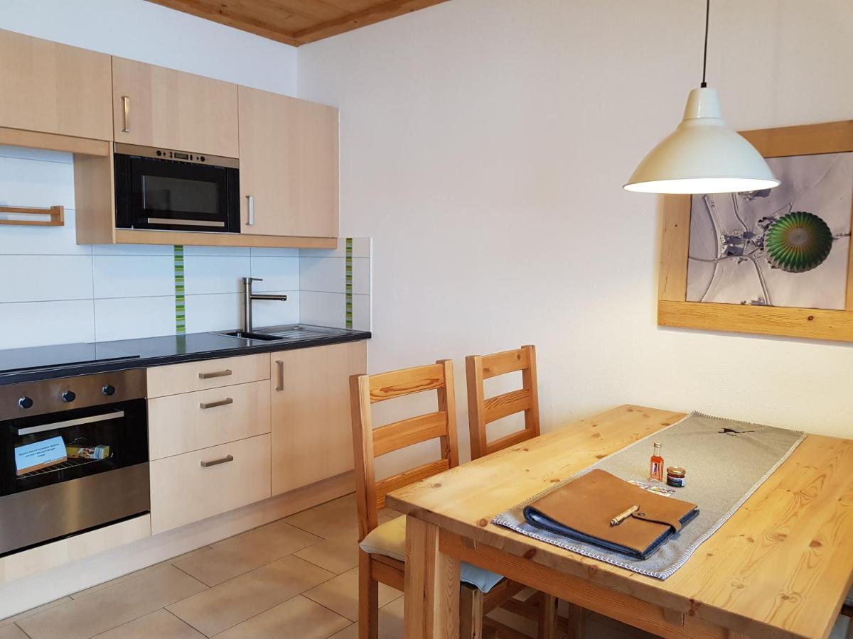 Appartements Gosaukamm.Com المظهر الخارجي الصورة